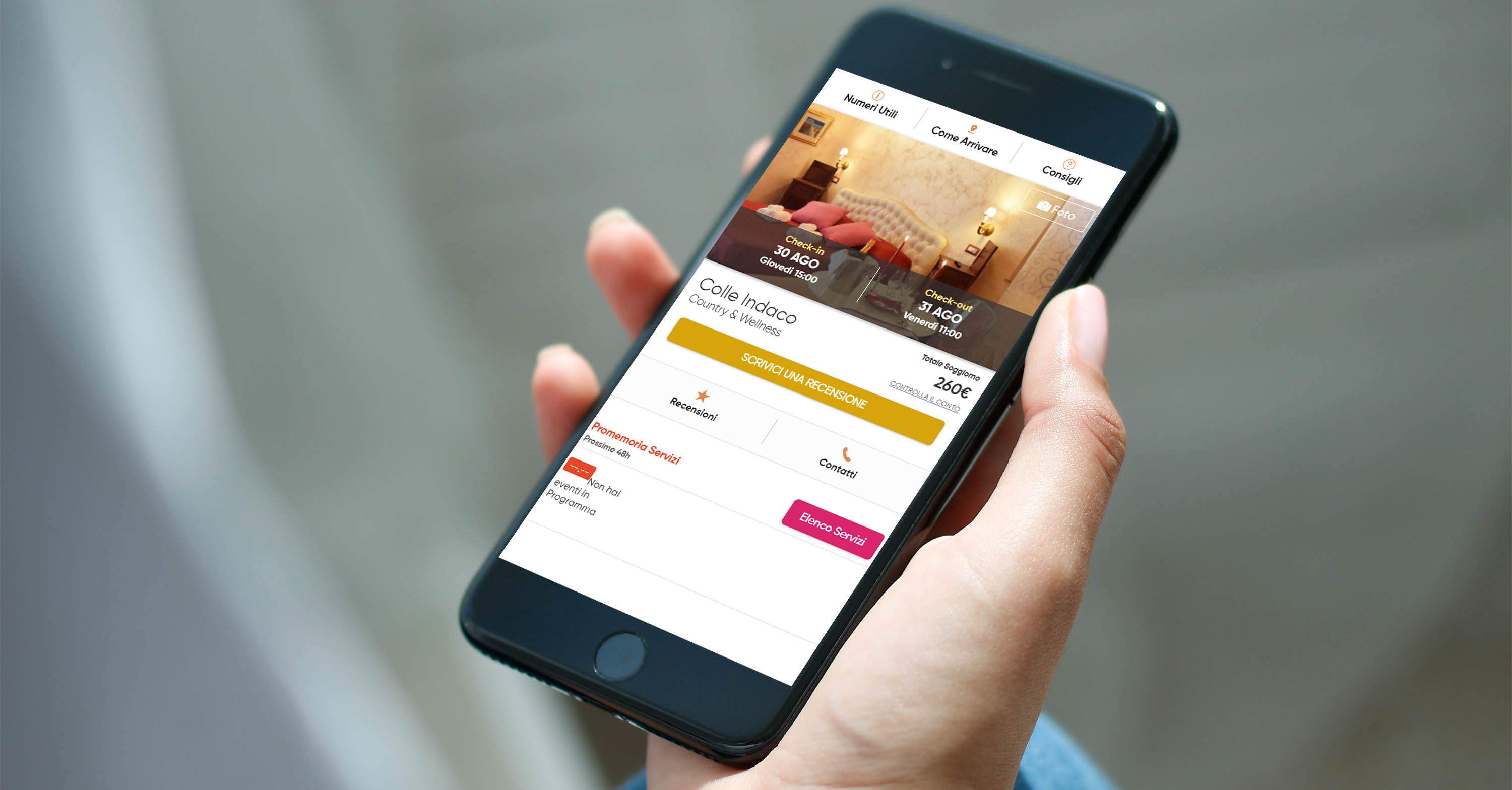 gestionale online